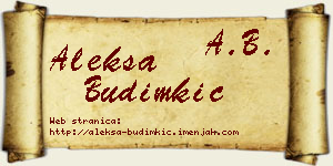 Aleksa Budimkić vizit kartica